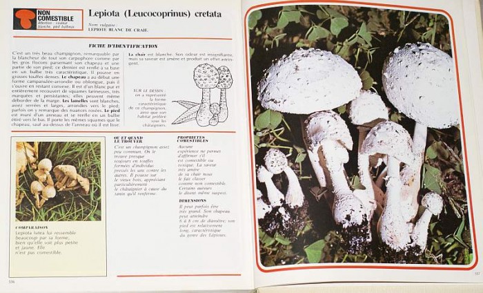 Les champignons de A à Z Edi. SEDES 3.jpg