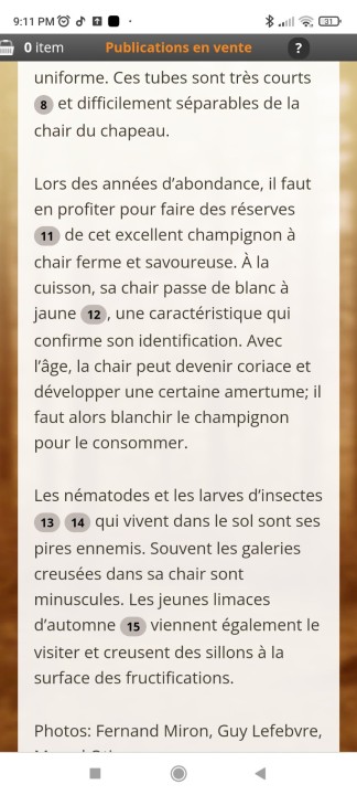 Screenshot_2024-09-14-21-11-53-638_com.android.chrome.jpg