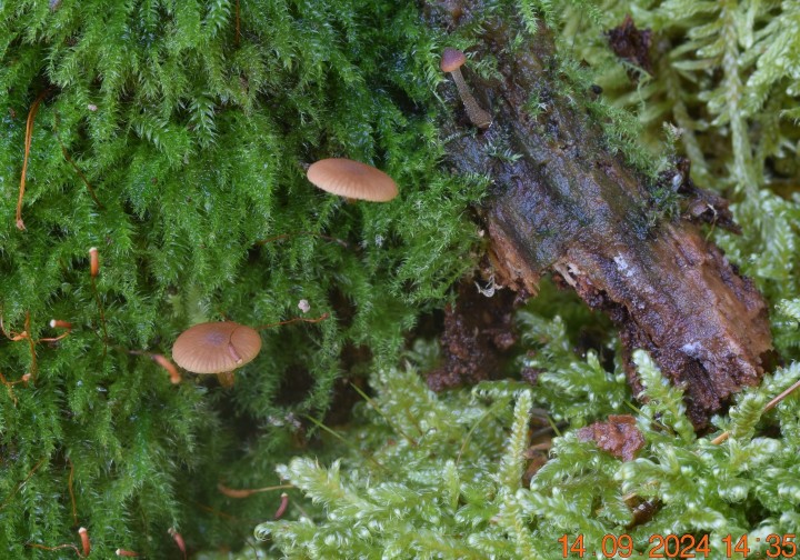 DSC_0015.JPG