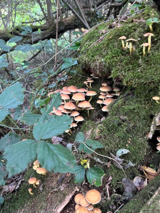 image_67509249.JPG