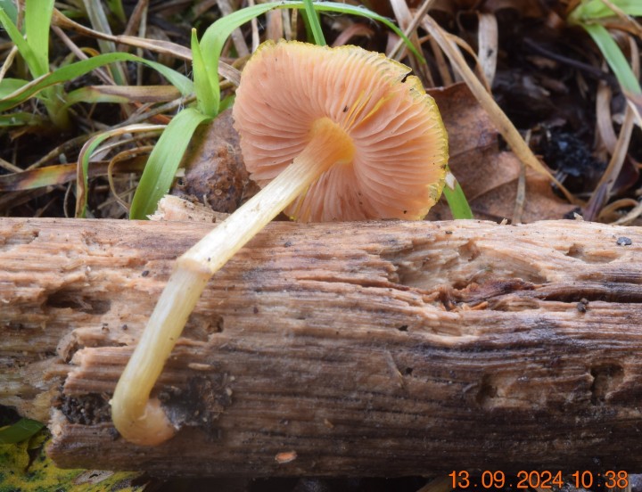 DSC_0005.JPG