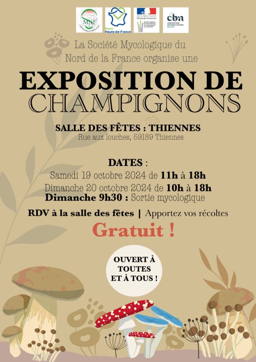 Affiche SMNF V1.jpg