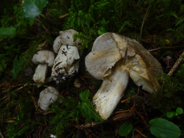 DSC06235.JPG