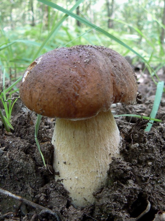2011-06-22.jpg