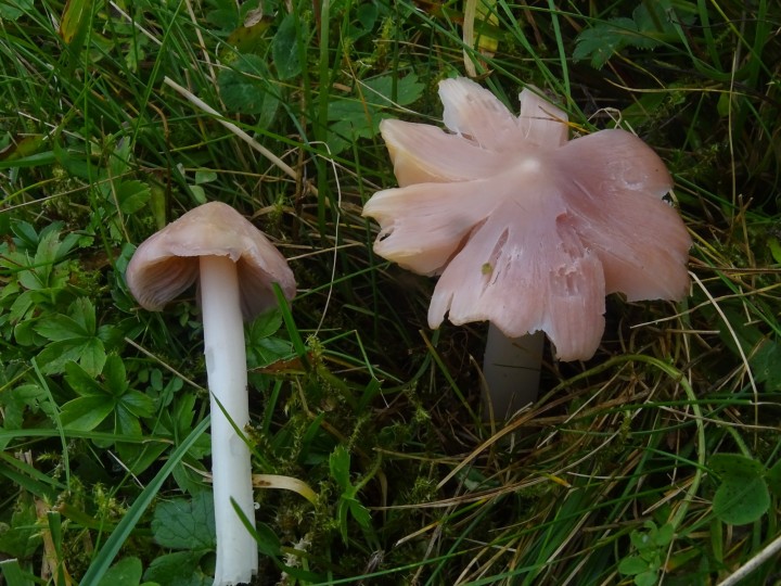 DSC06277.JPG