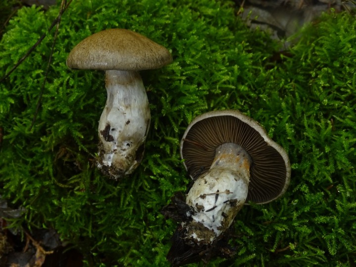 DSC06294.JPG