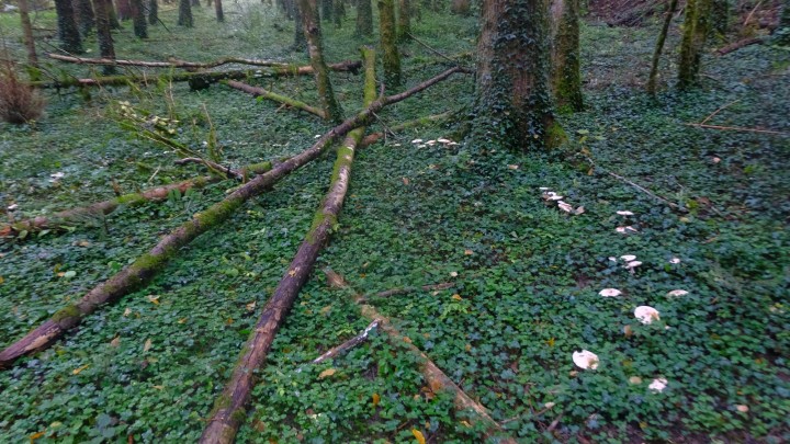 2024_1015_17421300.jpg