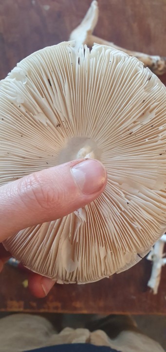 20241015_173902.jpg
