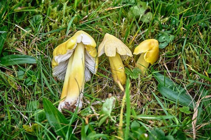 DSCF1708.jpg