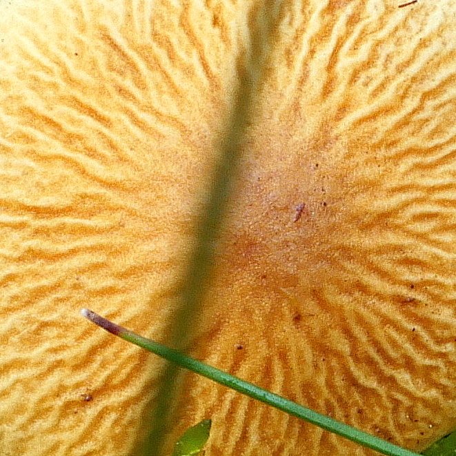 20241009_102122bis.JPG