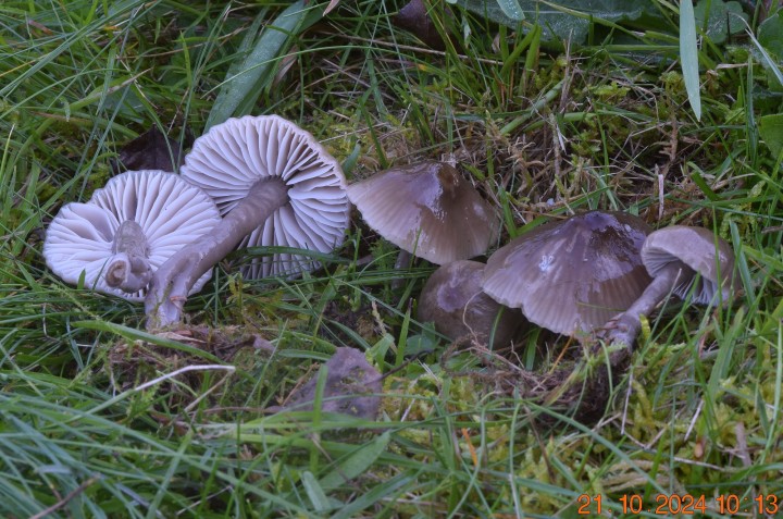 DSC_0113.JPG