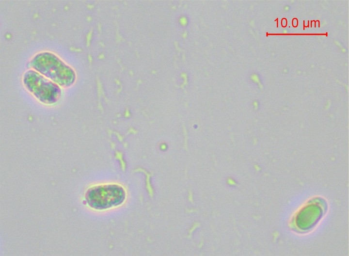 sp-003.jpg