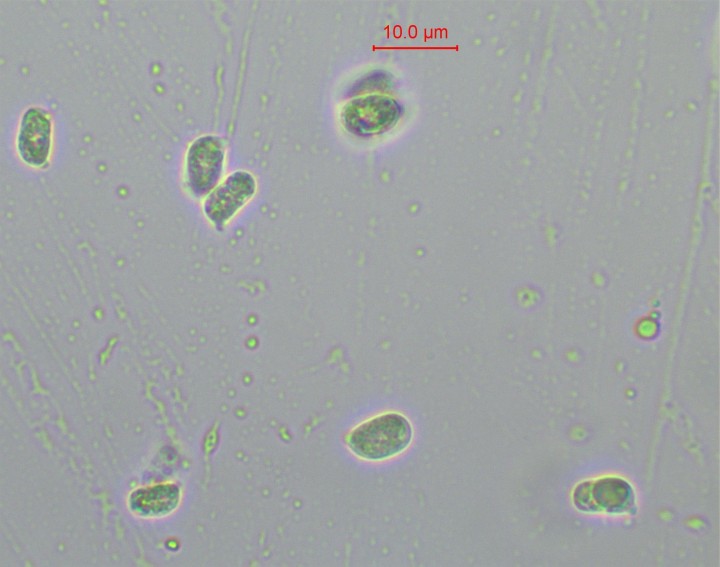 sp-007.jpg
