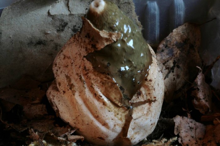 IMG_1368 1-redim1024.JPG