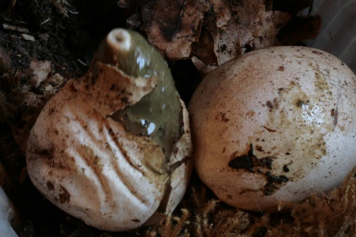 IMG_1369 2-redim1024.JPG