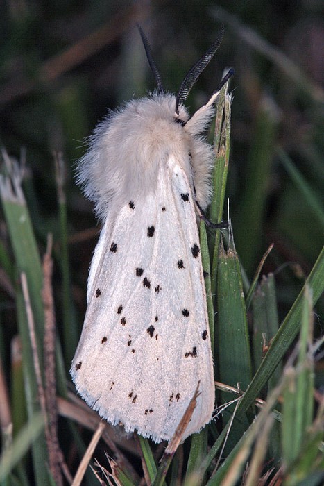 sp24050902aa.jpg