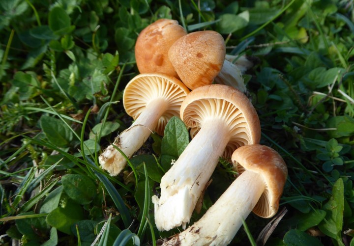 P1320528.JPG