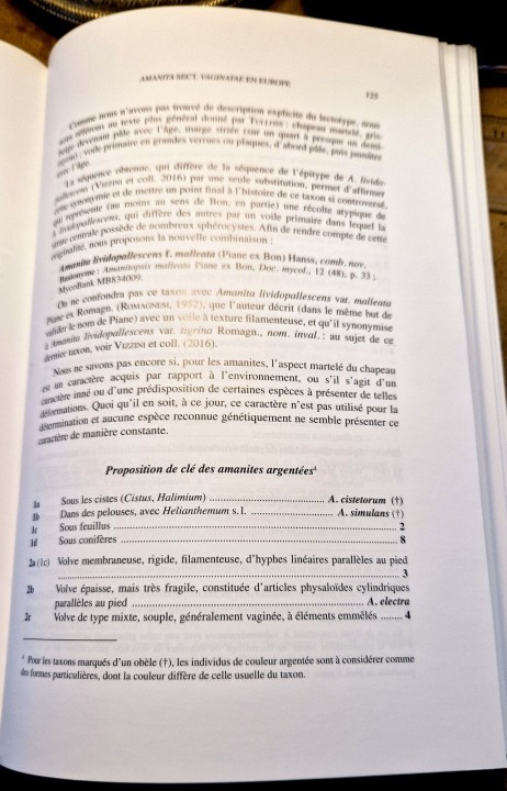 Cliquer sur l'image pour agrandir