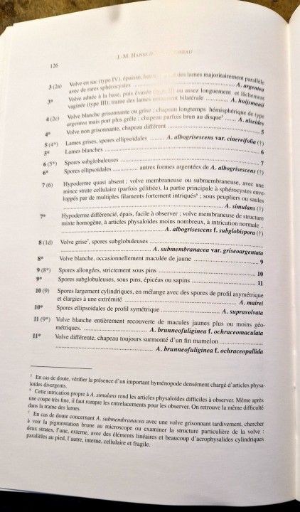 Cliquer sur l'image pour agrandir