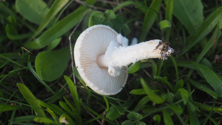 P1010066.JPG