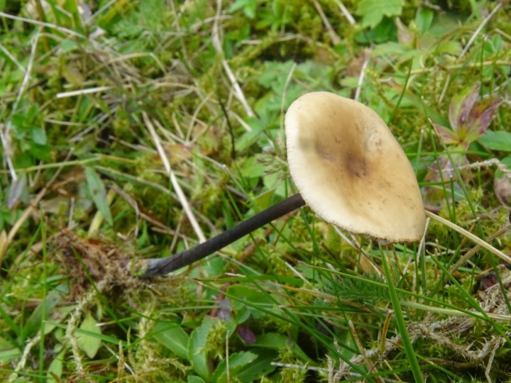 DSC06289.JPG
