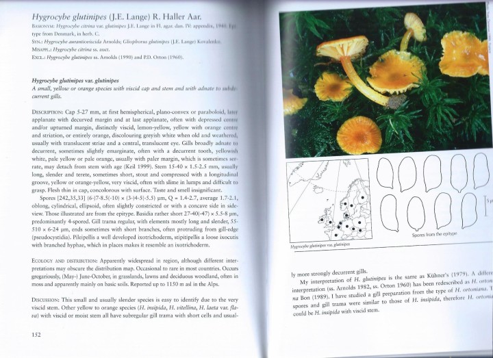 Cliquer sur l'image pour agrandir