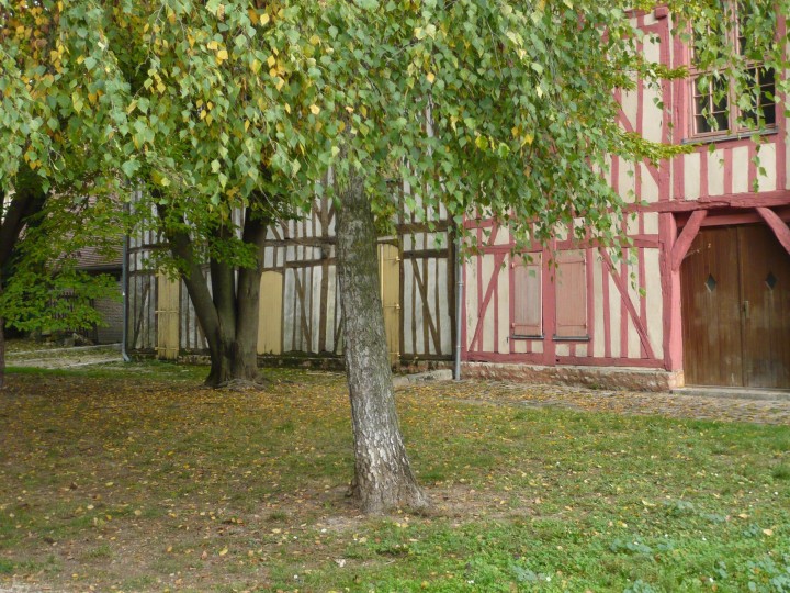 P1090890.JPG