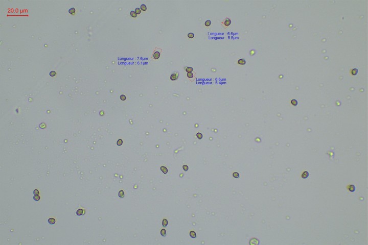 sp-005.jpg