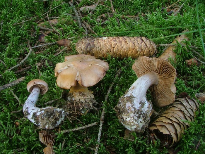 DSCF41021.jpg