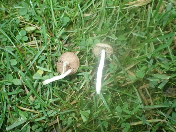 PB158247.JPG