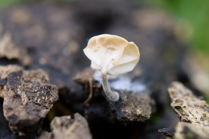 DSC_3293.jpg