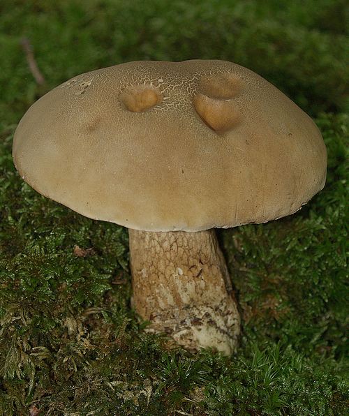 2009_0707002.JPG