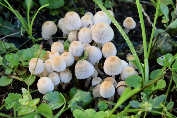 DSC_3168.jpg