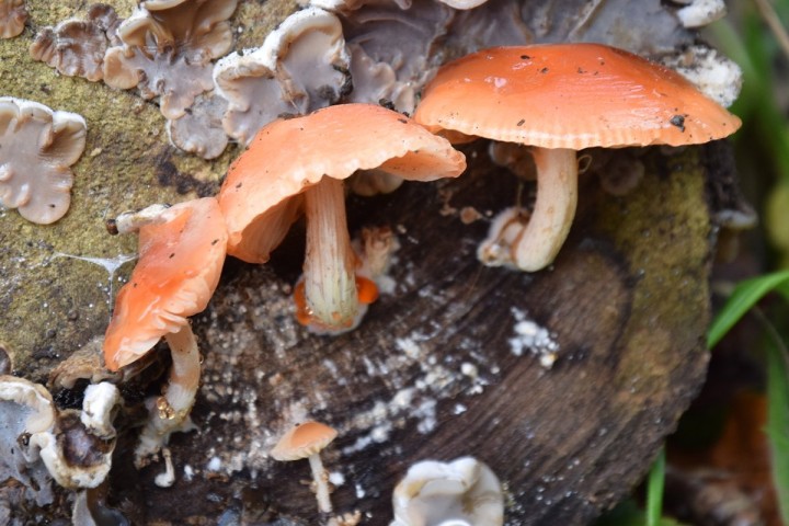 DSC_3218.jpg