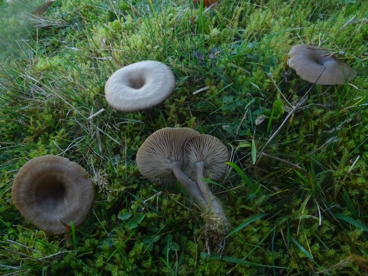 DSC06395.JPG