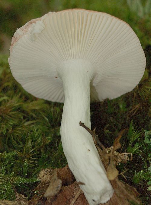 2009_07060078.JPG