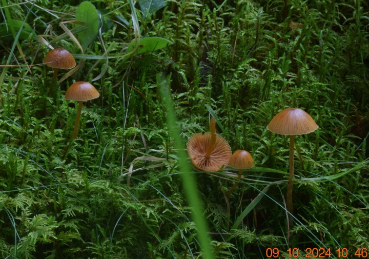 DSC_0075.JPG
