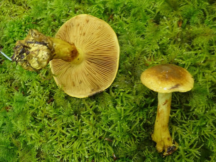 DSC06361.JPG