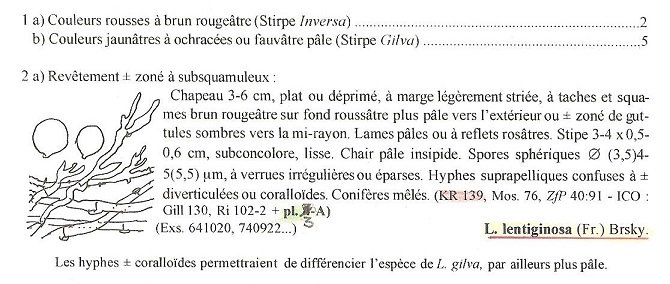 Extrait de M. Bon in DM (HS) 4:98