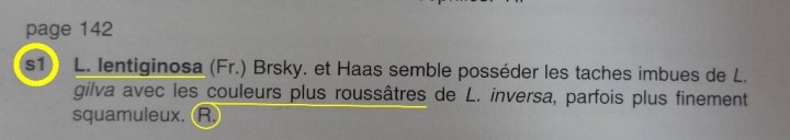 Extrait de M. Bon Champignons de France et d'Europe occidentale (p. 340)