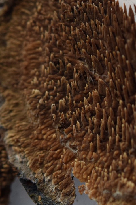 DSC_3303.jpg