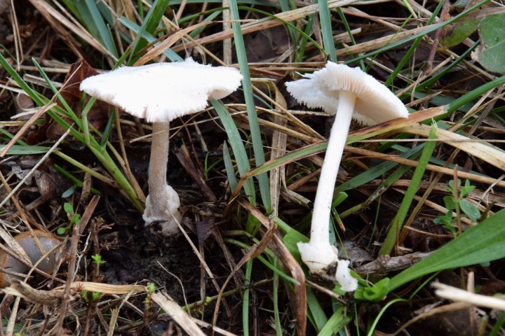 DSC_3199.jpg