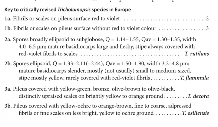 Clef_Tricholomopsis_Europe.png