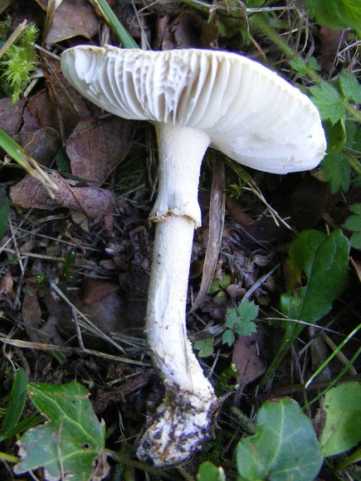 2009_0413essai0006.JPG
