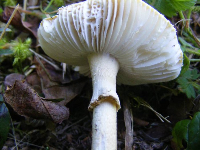2009_0413essai0005.JPG