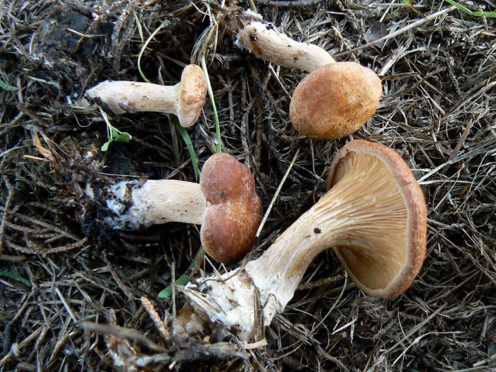 P1260380.jpg