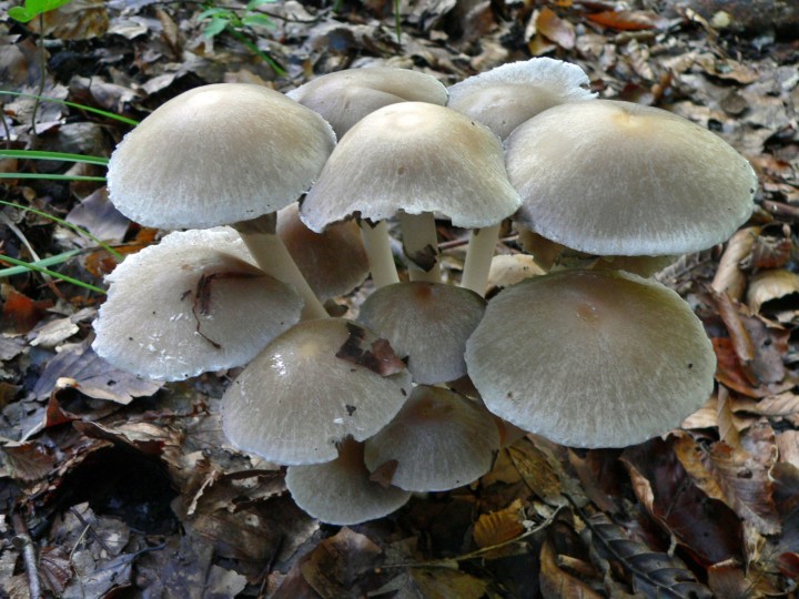P1020343.JPG
