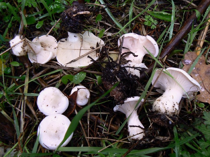 P1140220.jpg