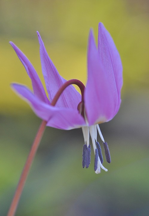 DSC_0007.jpeg