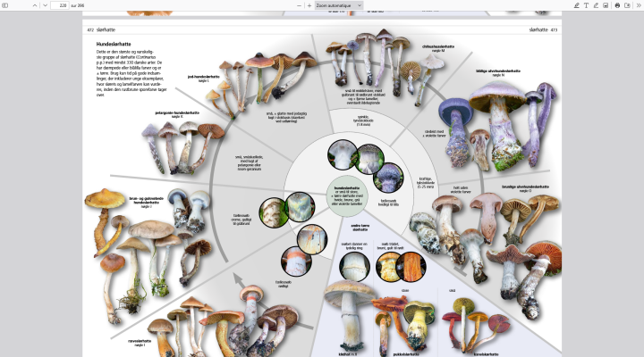 Screenshot 2025-03-29 at 19-26-27 FTE-T3-1.pdf.png